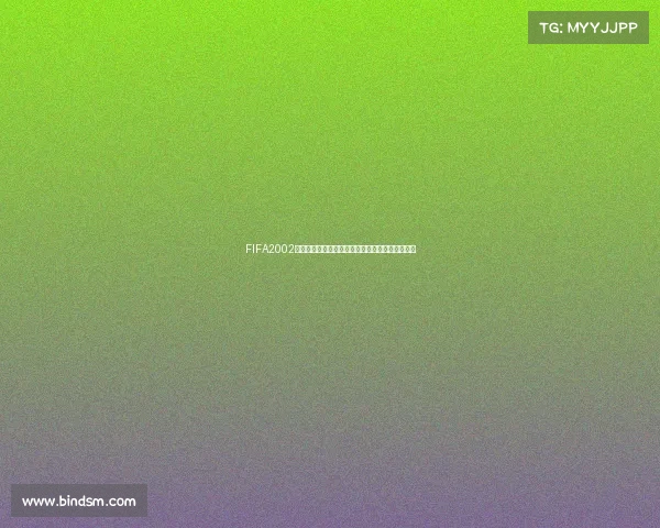FIFA2002世界杯实战攻略教你如何踢好比赛技巧解析大全版